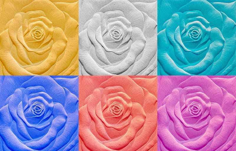 Sculpture Sandstone of Roses Wallpaper Mural pattern detail