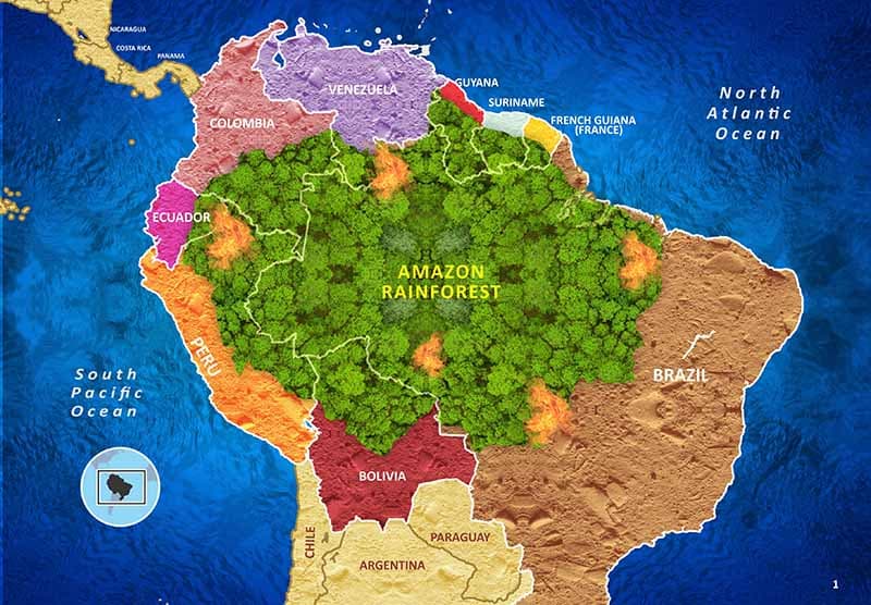 Amazon Rainforest Map Wallpaper Mural pattern detail