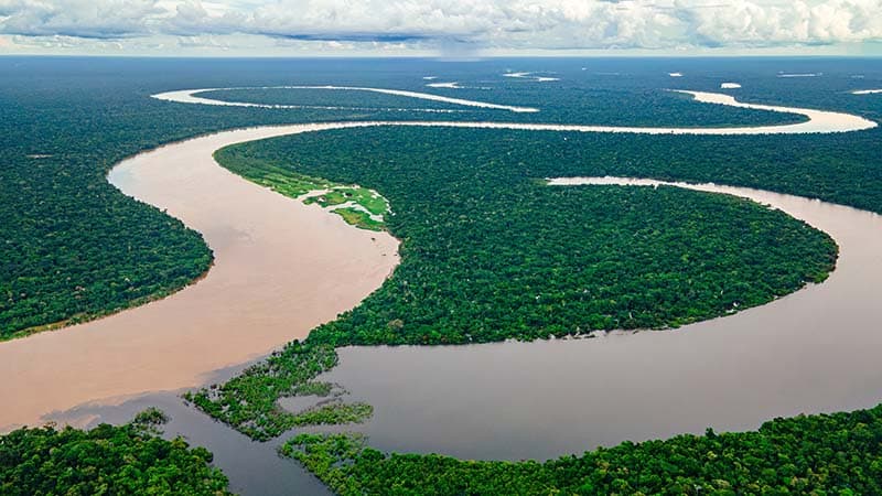 Amazon River Wallpaper Mural pattern detail