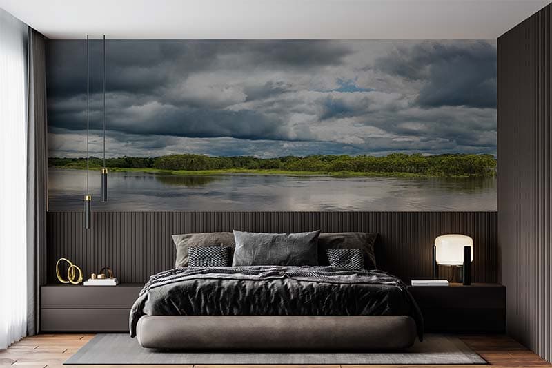 Amazonia, Amazon River Scenery Wallpaper Mural shown in a room