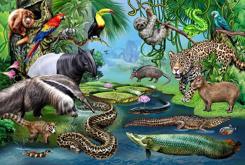 Animals of Amazon Rainforest Wallpaper Mural pattern detail