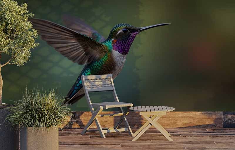 Elegant Hummingbird Wallpaper Mural shown in a room