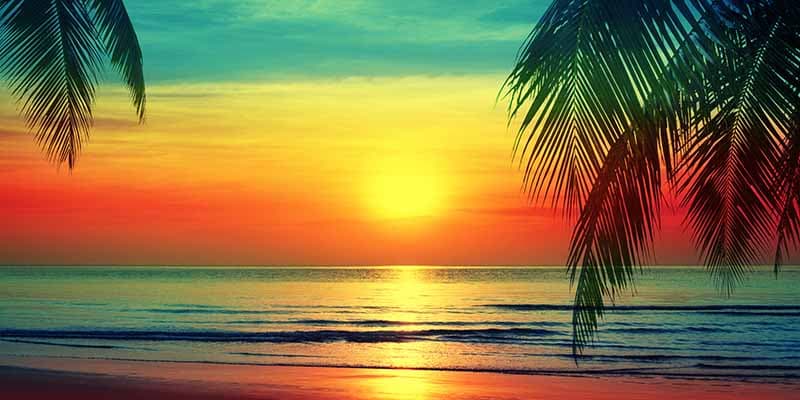 Kavya, Amber Sky Sunset Poetry Wallpaper Mural pattern detail