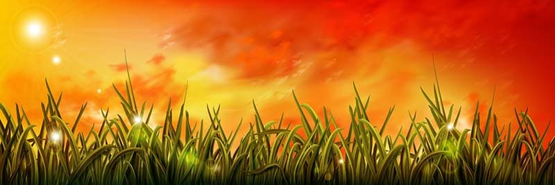 Rashmirathi, Orange Sunrise Sky Wallpaper Mural pattern detail
