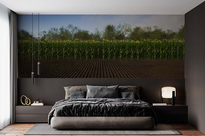Prakritik, Serene Corn Field Wallpaper Mural shown in a room