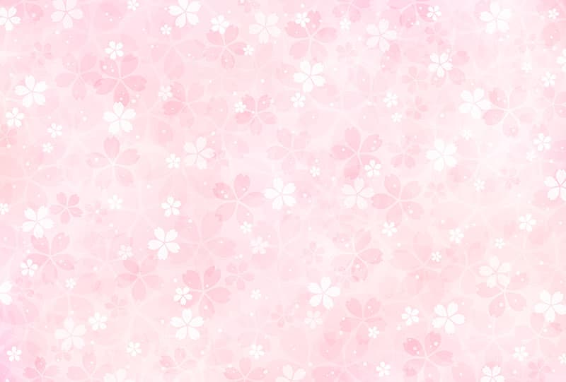 Gul, Beautiful Sakura Blossoms Wallpaper Mural pattern detail