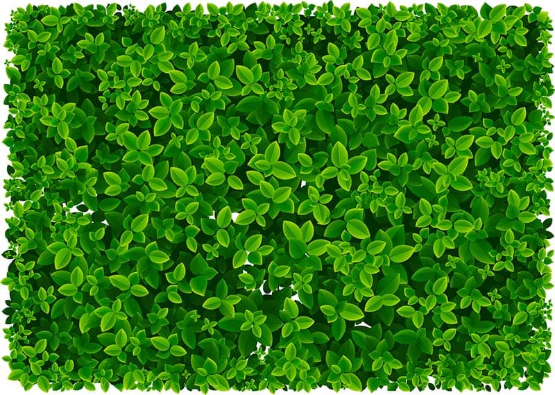 Pattika, Realistic Leaf Pattern Wallpaper Mural pattern detail