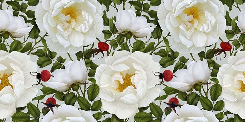 Realistic Serene White Peonies Wallpaper Mural pattern detail