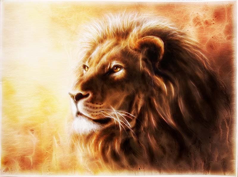 Singham Lion Head Airbrush Art Design Wallpaper pattern detail