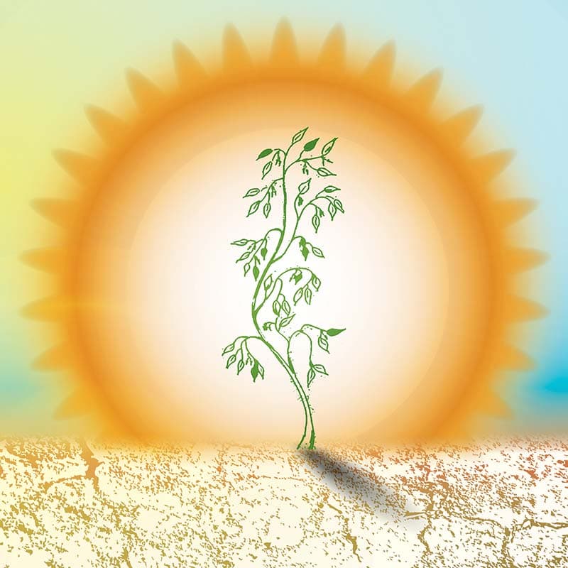 Sooraj, Realistic Glowing Sun Wallpaper Mural pattern detail