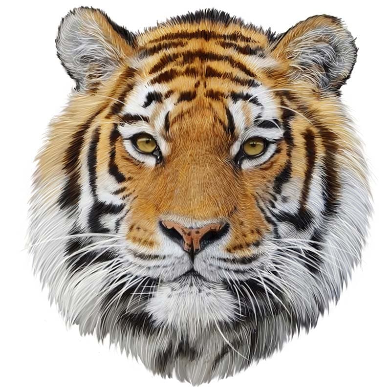 Tiger Head Art Realistic Effect Wallpaper Mural pattern detail