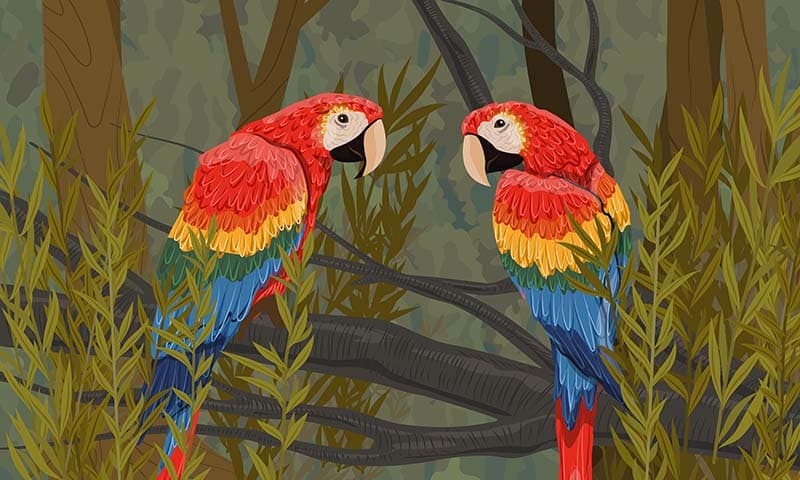 Two Buddy's, Scarlet Macaw Parrot Wallpaper Mural pattern detail