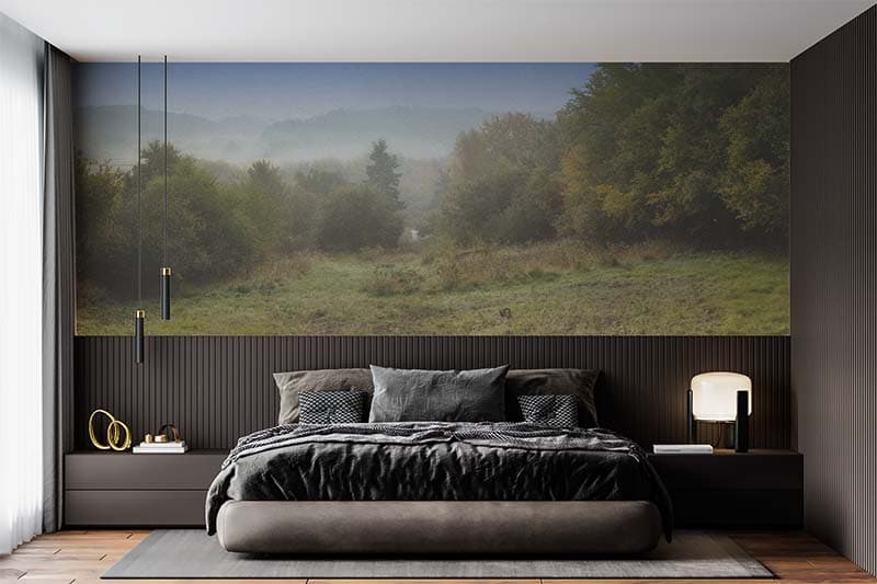 Mystic Kohra Foggy Landscape Nature Theme Wallpaper shown in a room