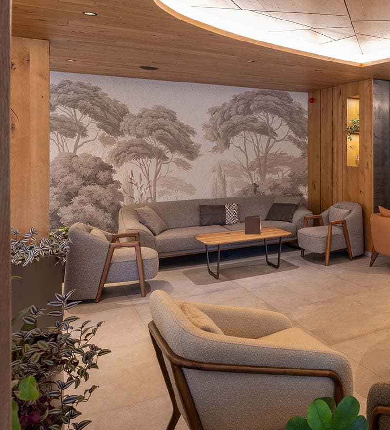 Rahat, Old Forest Trees Wallpaper Mural shown in a room