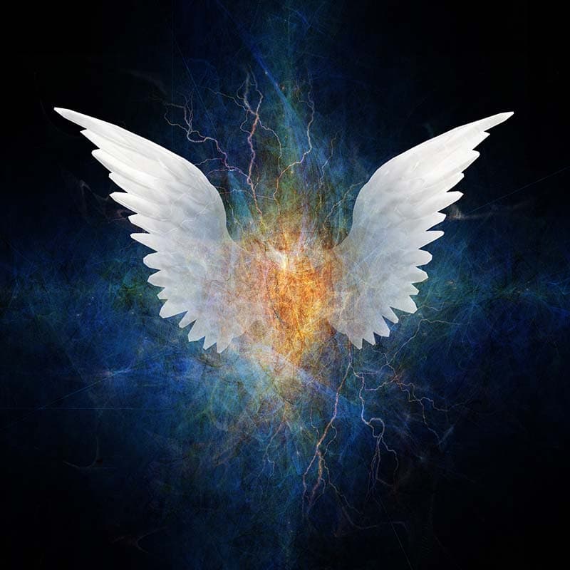Premium Artistic Angel Wings Design Wallpaper pattern detail