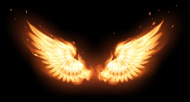 Wings on Fire Wallpaper Mural pattern detail
