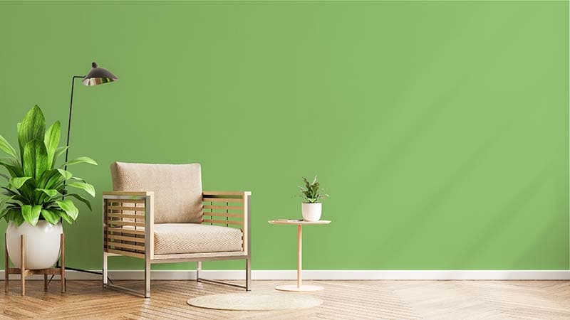 Plain Pista Green Background Wallpaper Mural shown in a room