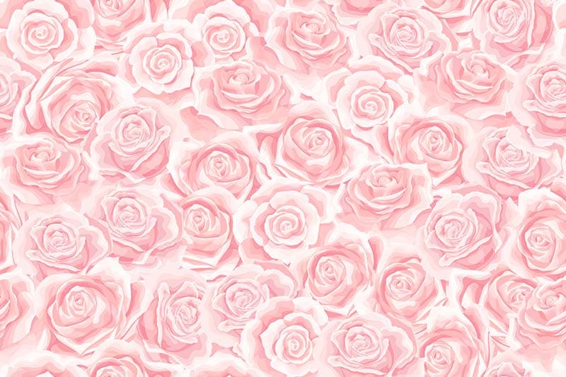 Beautiful Cream Pink Rose Flower Wallpaper Mural pattern detail