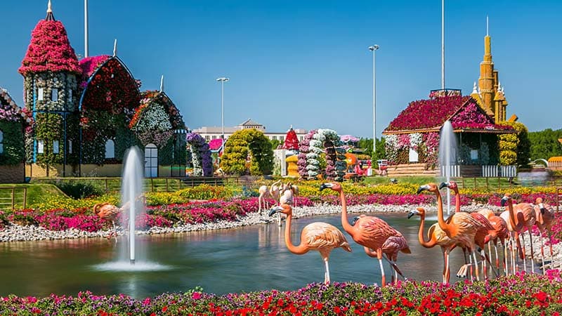 Dubai Miracle Garden Wallpaper Mural pattern detail