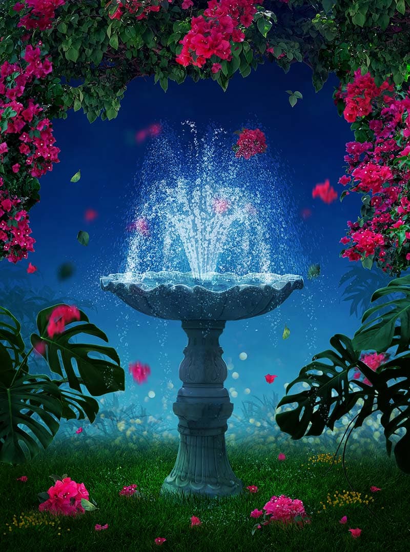 Fountain of Dreams Wallpaper Mural pattern detail