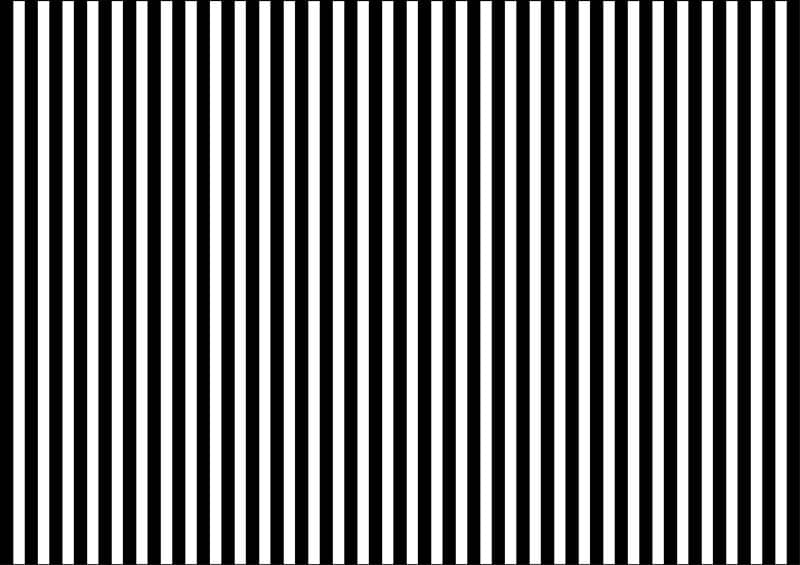 Black & White Bliss Striped Mural Wallpaper pattern detail