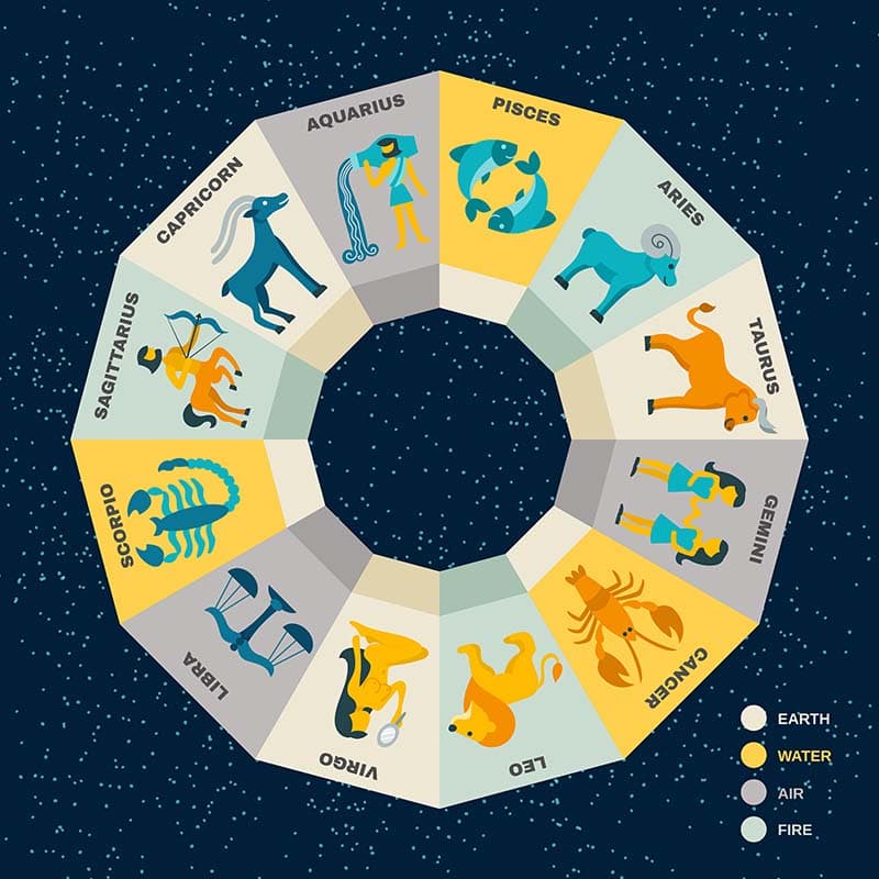 Easy to Understand Zodiac Signs Wallpaper Mural pattern detail