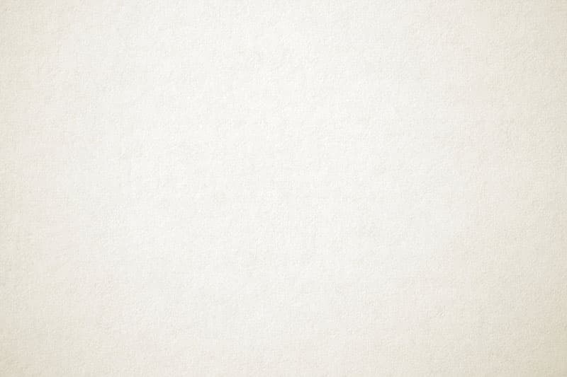 Ivory Off White Paper Texture Wallpaper Mural pattern detail