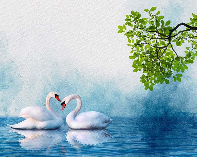 Angsa, White Swan Couple Art Wallpaper Mural pattern detail