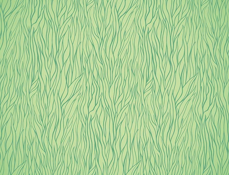 Mint Green Grass Pattern Wallpaper Mural pattern detail