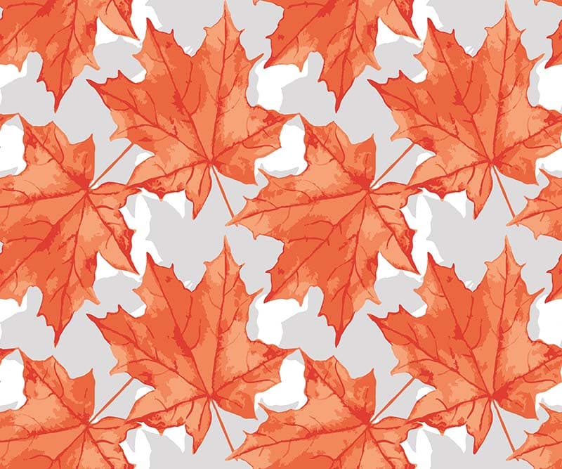 Autumn Bliss Wallpaper Mural pattern detail