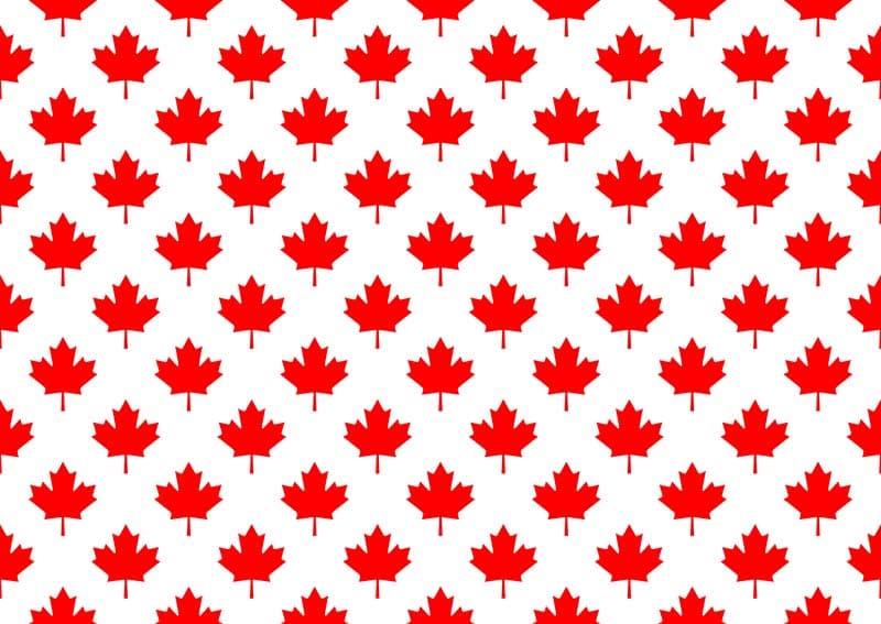 Canadian Whisper Maple Leaf Wallpaper Mural pattern detail