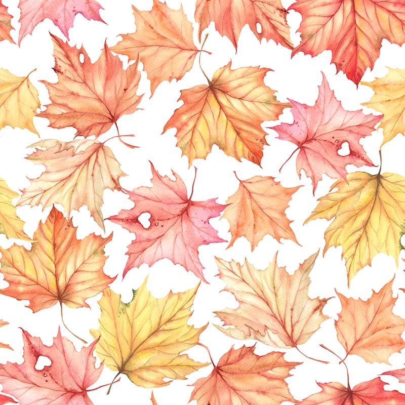 Watercolor Maple Majesty Wallpaper Mural pattern detail