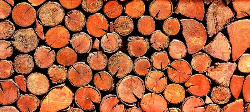 Autumn Colors Wooden Logs Stack Wallpaper Mural pattern detail