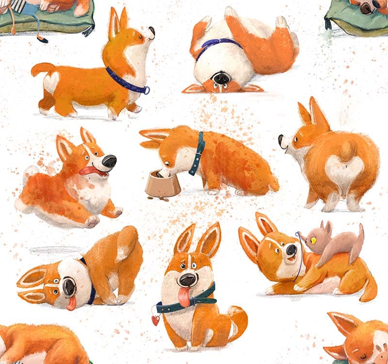 Cute Corgi Dog Wallpaper Mural pattern detail