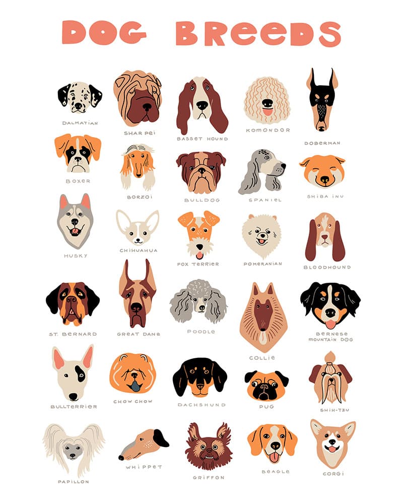 Dog Breeds Wallpaper Mural pattern detail