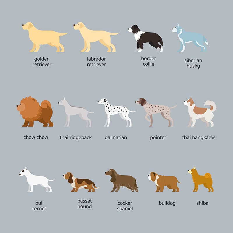 Fur-Ever Breeds Wallpaper Mural pattern detail