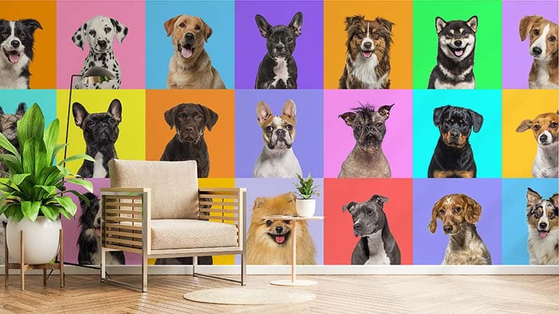 Puppy Patchwork Wallpaper Mural shown in a room