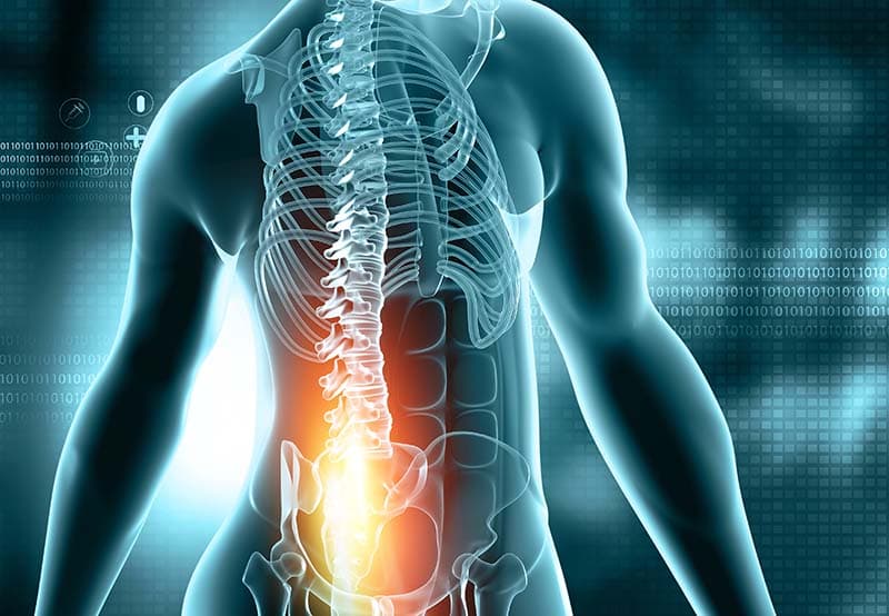 Physiotherapy Human Spine Mural Wallpaper pattern detail