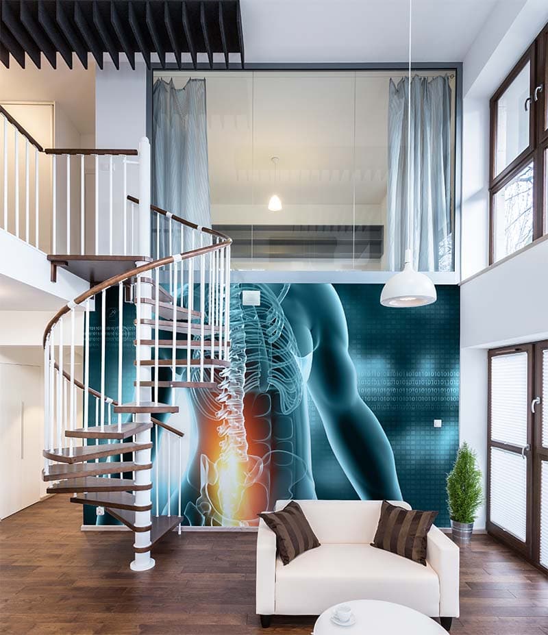 Physiotherapy Human Spine Mural Wallpaper shown in a room