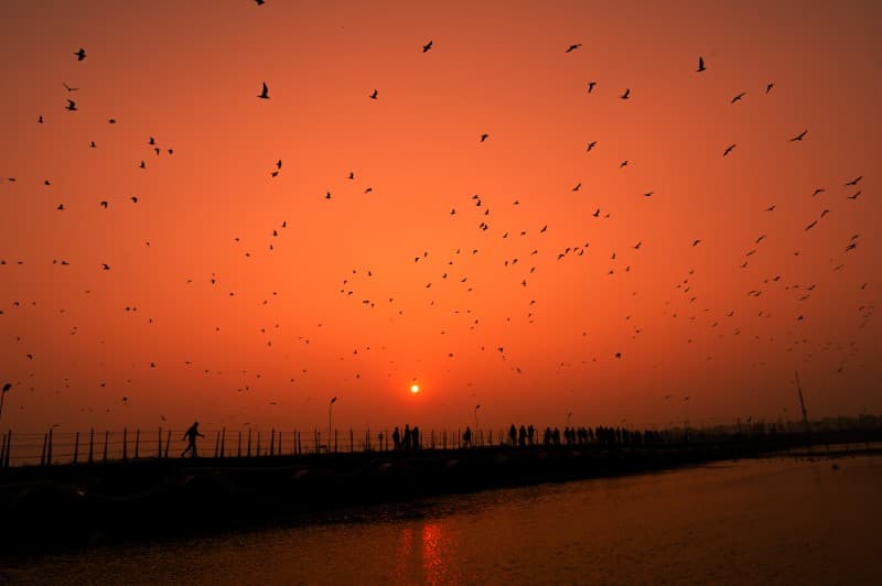 Kumbh Pontoon Bridge Landscape Wallpaper Mural pattern detail