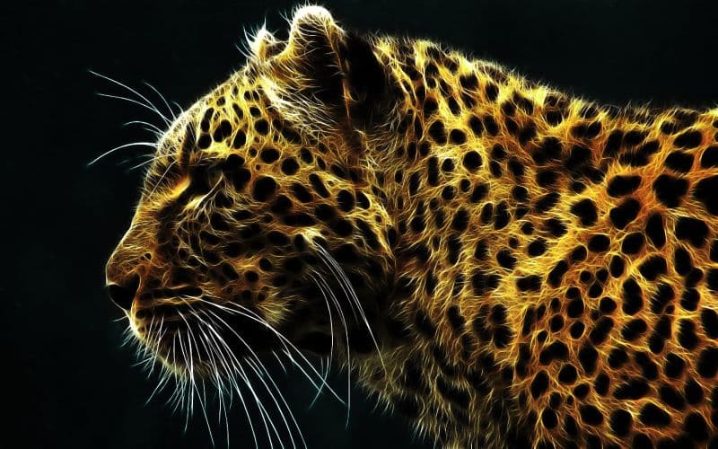Leopard Digital Art Wallpaper Mural pattern detail