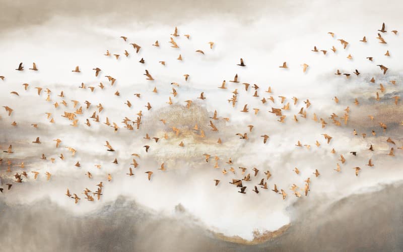 Birds Abstract Scenery Art Wallpaper Mural pattern detail