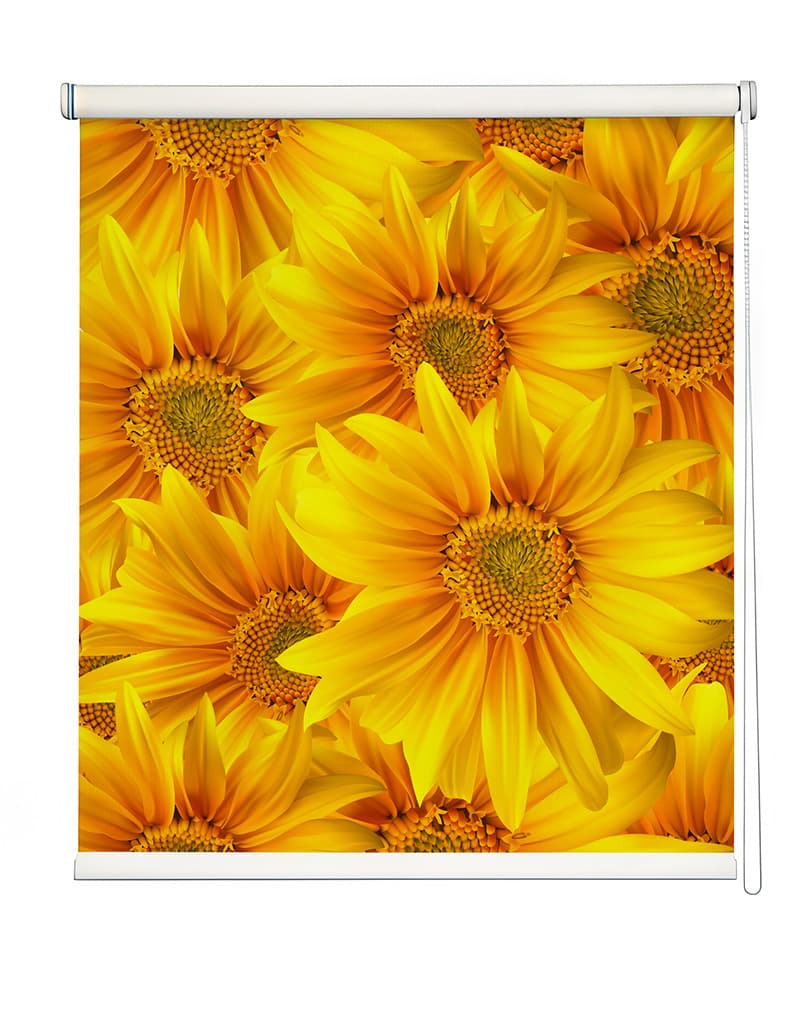 Vibrant Sunflower-Themed Roller Blind shown in a room