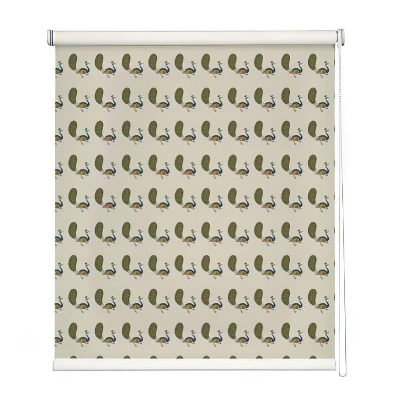 Regal Feathers Roller Blinds shown in a room