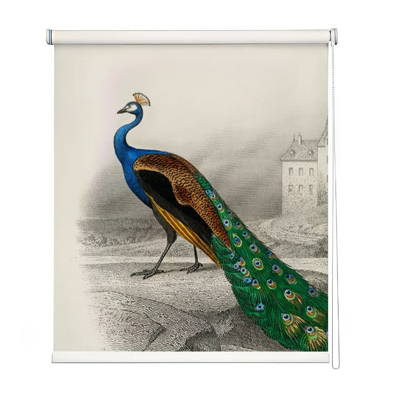 Heritage Peacock Motif Window Roller Blind shown in a room