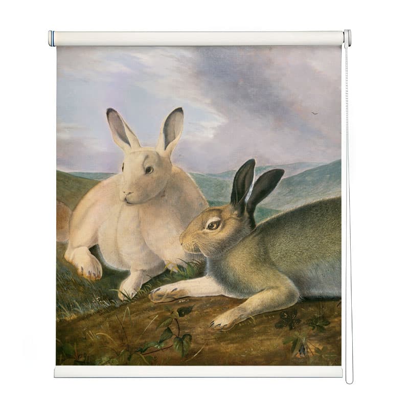 Rustic Meadow Rabbit Roller Blind shown in a room