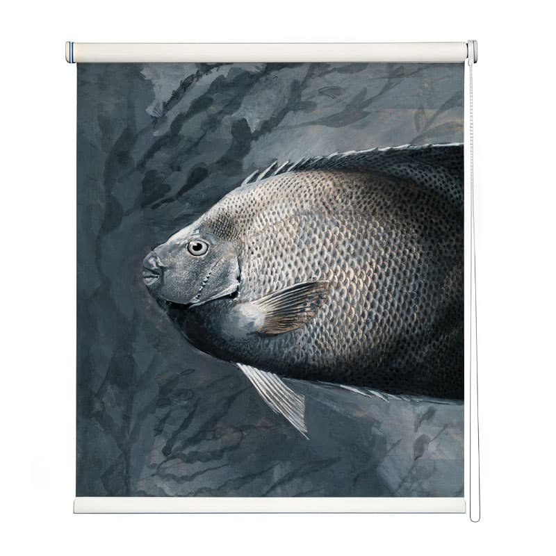 Grayscale Fish Portrait Window Roller Blind shown in a room
