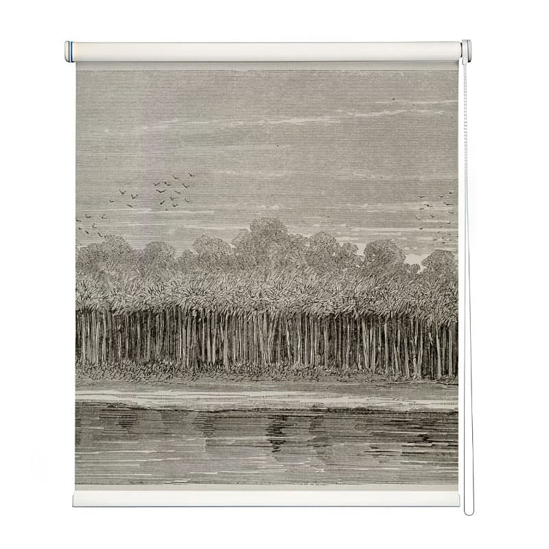 Vintage Riverside Engraving Roller Blind shown in a room