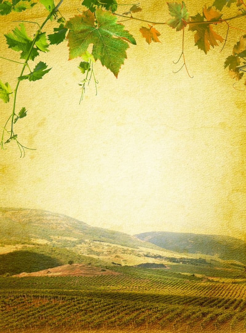 Cieloro, Mediterranean Hillside & Vines Mural pattern detail