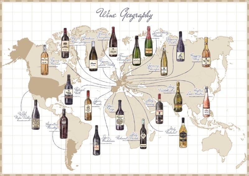 Vintatlas, Sip Your Way Around the World Mural pattern detail